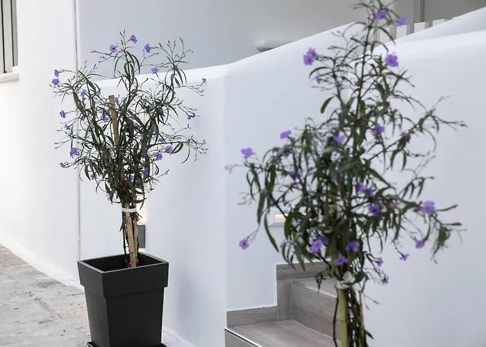 Anemela Basic * Naxos City